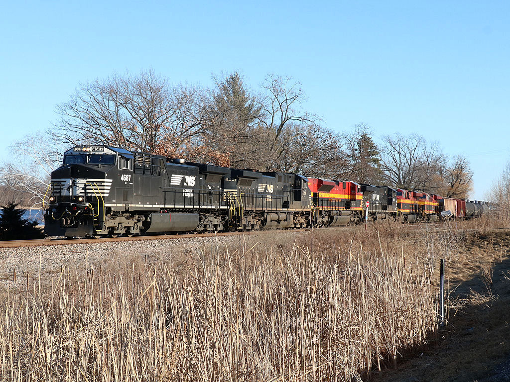 NS 4687